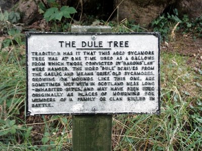 dule.jpg
