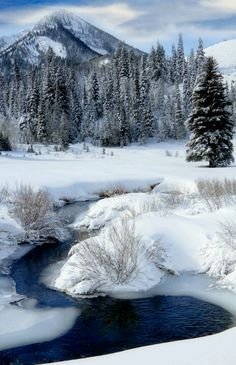 b7411941a6ef34bb498ec78b4baf7b70[1].jpg