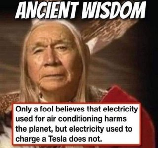 wisdom.jpg
