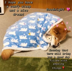 7118CBFD-8287-4AD9-94C2-3179E65ACC8B.jpeg