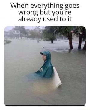 239FBB32-DD02-4E33-82D6-36B3AAADB2EC.jpeg