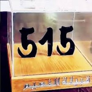Number 515 @.jpg