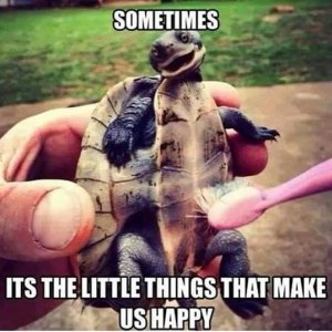 little things.jpg