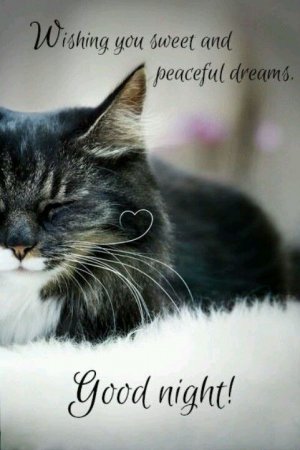b4c7f60dcccee75f6ce8ecd73d86973c[1].jpg