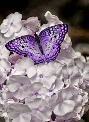 tumblr_22b0395a203031c31538b0db0e5d4ce5_4fd5ad7f_1280.jpg