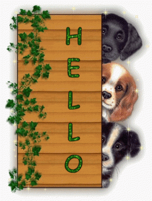E0F4D719-1A6E-4738-BC98-C440DF8A01D5.gif