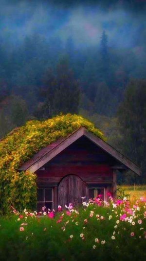 tumblr_4f2b1ff8adc00ee91a879331cfbffb5e_73a0ef92_500.jpg