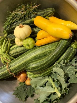 todays harvest.jpg