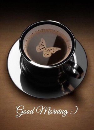 304695-Morning-Coffee.jpg