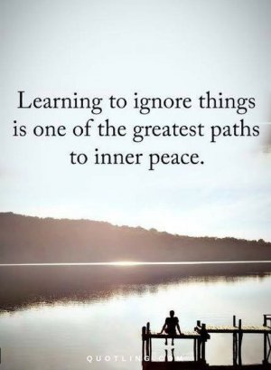 86e929090740c833debaf8de1d69275b[1].jpg