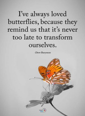 661017013212d8724ec51c49cc088c77[1].jpg
