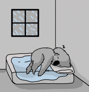 Good-Night-Animated-GIF.gif