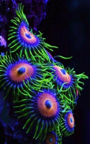 cd608b59e467ee2bf50e0e3db00e4ee7[1].jpg