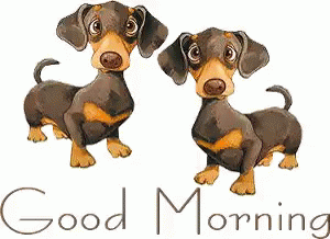 Good-morning-Dog-GIF.gif