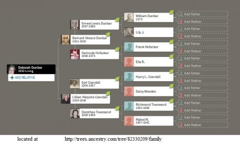 family tree.jpg