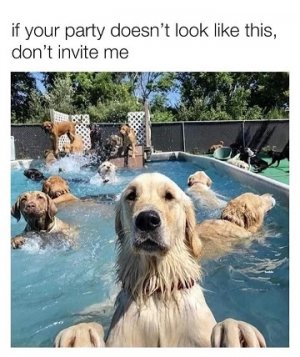 pool party.jpg