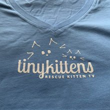 tiny kittens.jpg