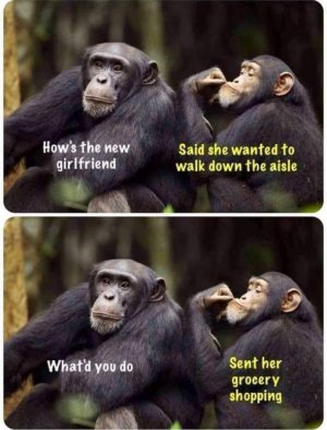FB_IMG_1661970655483.jpg