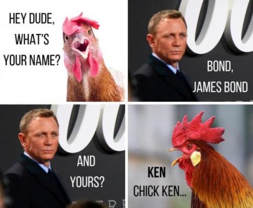 1E8E6B8E-85D2-4D3B-A9BF-C4298A04AC47.jpeg
