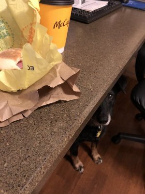 thumbnail_IMG_4428.jpg