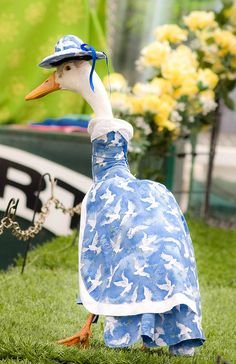 c74daeb37725df10db7b9c02969eea7c[1].jpg