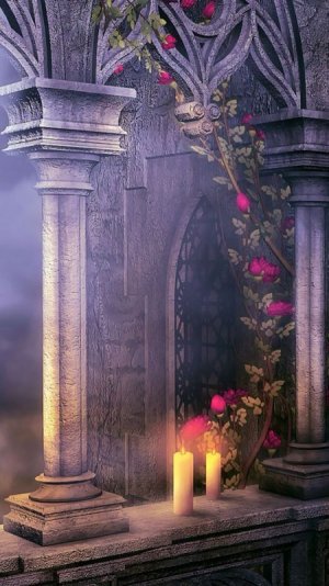 tumblr_17a4d93298d7ca2239eddab8b7b8f1dc_3cdf1542_640.jpg