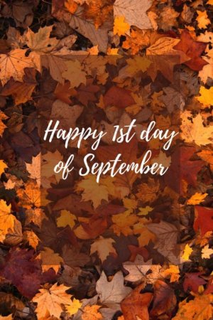 790f5eaeb83a8b1db20a6711f65bd5db[1].jpg