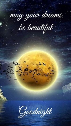Good Night Images Download.jpeg