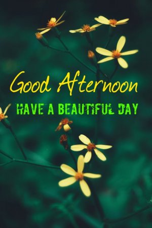 good-afternoon-wish3.jpg