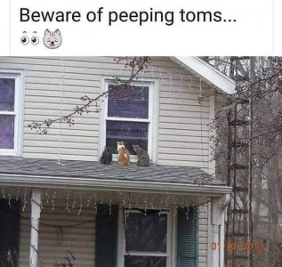 325F2A25-582E-4803-88E3-C837D6A80086.jpeg