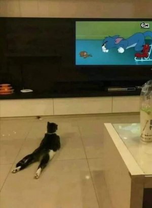 FB_IMG_1662146288912.jpg