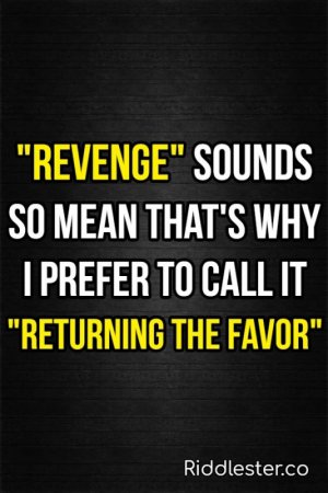 hilarious-funny-quotes.jpg