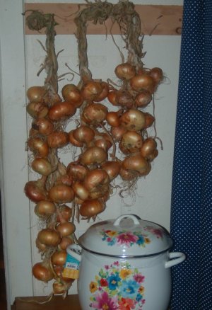 onions.jpg
