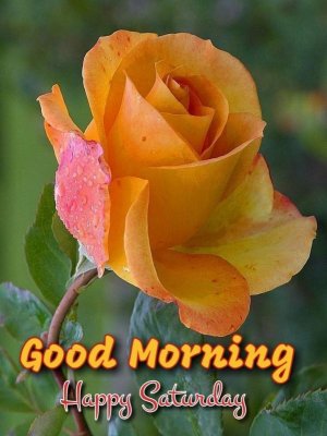9efd3606d3a5c59b4b074a707be9ea95.jpg
