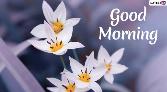 Good-Morning.jpg