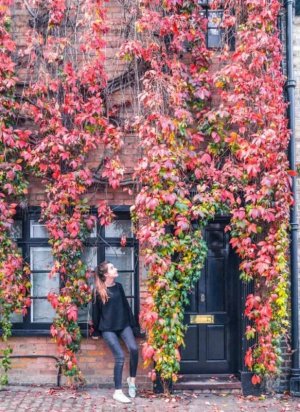 where_to_find_fall_foliage_in_london-746x1024[1].jpg