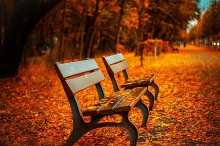 benches-560435__340[1].jpg