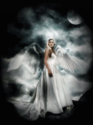 6ddda8cc09e7ca473a49216cb1b5593a.gif