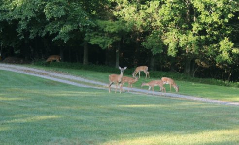 Family Gathering2.jpg