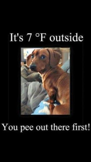 F9F34301-07D8-4CA8-B7D2-C65E8A7AD755.jpeg