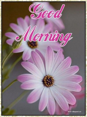 Good-morning-177-768x1024.jpg