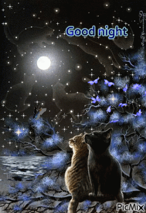 049bb2e8278552c0369602b8159d9ce3.gif