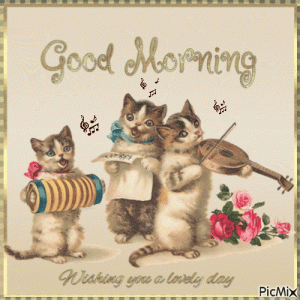 5cb58714c8c1d1bd6e4887395bb4d14b[1].gif