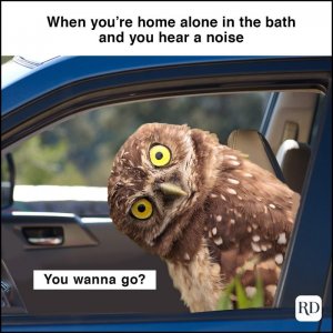 When-someone-who-was-tailgating-you-pulls-up-at-the-stoplight-964611070-1158485714-meme.jpg