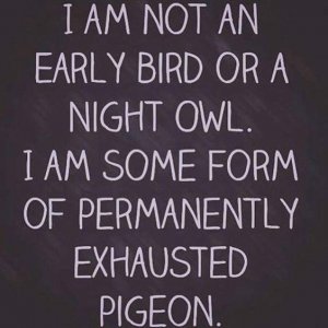 7b4d8d8696e0a9949b5c08e90a8ebd37[1].jpg