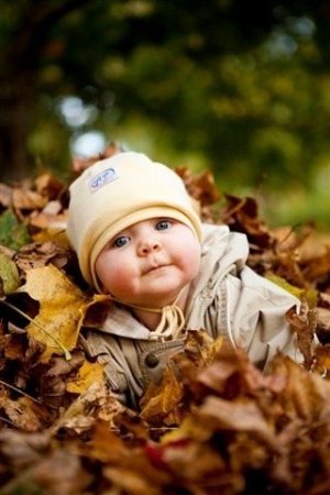 da1adcde9e78d361a1fec27c30bd6a1e[1].jpg