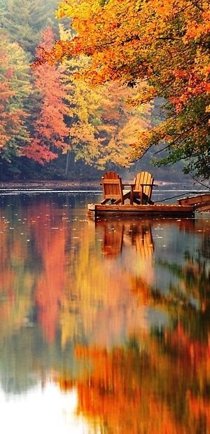 c8bf0136d27db207222e94f92c03db64[1].jpg
