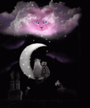 213d42e7427fbe26bd9d6aea774afb3c.gif