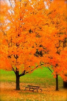 fa7eadb7d27a24302c1732ff09abe155[1].jpg