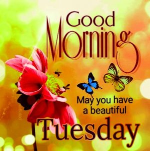 good-morning-tuesday.jpg